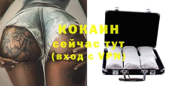 mdpv Бородино