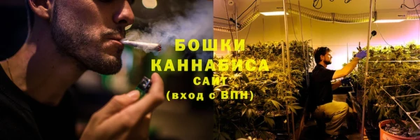 Альфа ПВП Бугульма