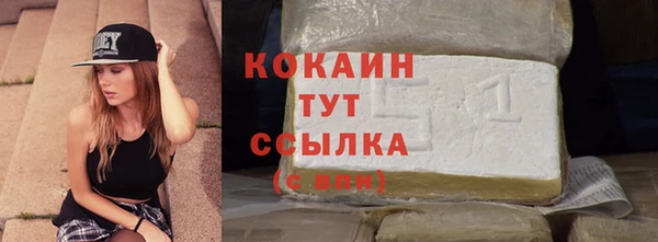 mdpv Бородино