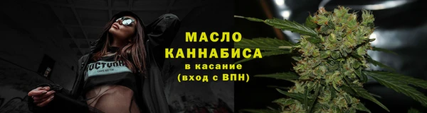 mdpv Бородино