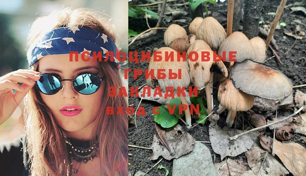 mdpv Бородино