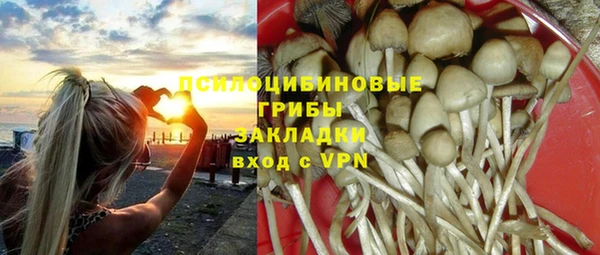 mdpv Бородино